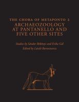 The chora of Metaponto 2.