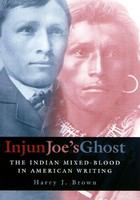 Injun Joe's ghost the Indian mixed-blood in American writing /