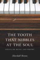 The tooth that nibbles at the soul essays on music and poetry /