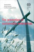 The promotion of sustainable enterprises