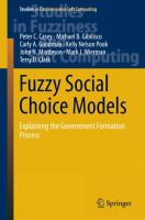 Fuzzy Social Choice Models Explaining the Government Formation Process /