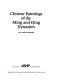 Chinese paintings of the Ming and Qing dynasties, XIV-XXth centuries /