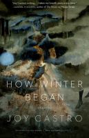 How winter began : stories /