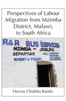 Perspectives of labour migration from Mzimba District, Malawi, to South Africa /