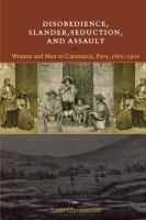 Disobedience, slander, seduction, and assault : women and men in Cajamarca, Peru, 1862-1900 /