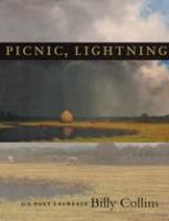 Picnic, lightning /