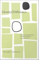 Identity, difference : democratic negotiations of political paradox /
