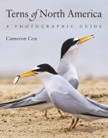 Terns of North America A Photographic Guide.