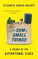 The sum of small things : a theory of the aspirational class /