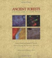 Ancient forests : a closer look at fossil wood /