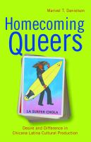 Homecoming queers desire and difference in Chicana Latina cultural production /
