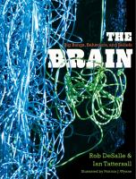 The brain : big bangs, behaviors, and beliefs /