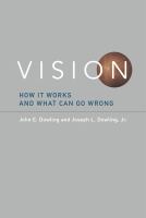 Vision how it works and what can go wrong /