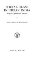 Social class in urban India : essays on cognitions and structures /