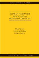 Blow-up theory for elliptic PDEs in Riemannian geometry /