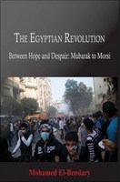 Egyptian Revolution : Between Hope and Despair, Mubarak to Morsi.