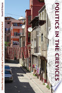 Politics in the crevices : urban design and the making of property markets in Cairo and Istanbul /