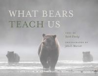 What bears teach us