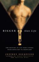 Bigger than life the history of gay porn cinema from beefcake to hardcore /