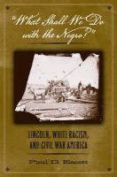 "What shall we do with the Negro?" Lincoln, white racism, and Civil War America /
