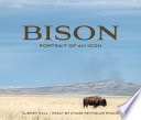 Bison portrait of an icon /