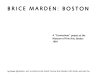 Brice Marden, Boston : a "Connections" project at the Museum of Fine Arts, Boston, 1991 /