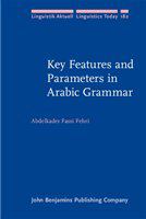Key features and parameters in Arabic grammar