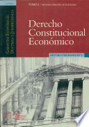 Derecho constitucional económico : garantías económicas doctrina y jurisprudencia.