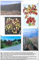 Apples : Botany, Production and Uses.