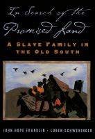 In Search of the Promised Land : A Slave Family in the Old South