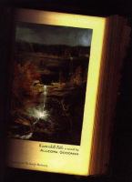 Kaaterskill falls : a novel /