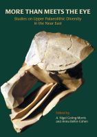More Than Meets the Eye : Studies on Upper Palaeolithic Diversity in the near East.