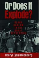 "Or does it explode?" : Black Harlem in the great depression /