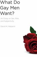 What do gay men want? : an essay on sex, risk, and subjectivity /