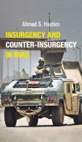 Insurgency and counter-insurgency in Iraq /