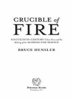 Crucible of fire : nineteenth-century urban fires and the making of the modern fire service /