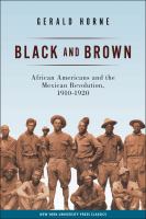 Black and brown African Americans and the Mexican Revolution, 1910-1920 /