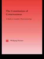 The constitution of consciousness a study in analytic phenomenology /