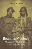 Bound in wedlock : slave and free Black marriage in the nineteenth century /