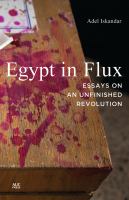 Egypt in Flux : Essays on an Unfinished Revolution.