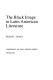 The Black image in Latin American literature /