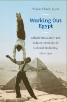 Working out Egypt effendi masculinity and subject formation in colonial modernity, 1870-1940 /