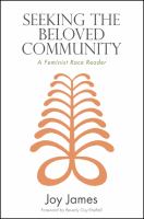 Seeking the Beloved Community : A Feminist Race Reader.