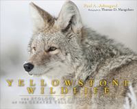 Yellowstone wildlife : ecology and natural history of the greater Yellowstone ecosystem /