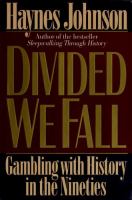 Divided we fall : gambling with history in the nineties /