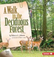 A walk in the deciduous forest