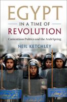 Egypt in a time of revolution : contentious politics and the Arab Spring /