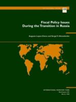 Fiscal policy issues during the transition in Russia /