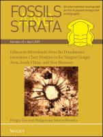 Ediacaran Microfossils from the Doushantuo Formation Chert Nodules in the Yangtze Gorges Area, South China, and New Biozones.