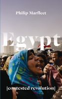 Egypt : contested revolution /